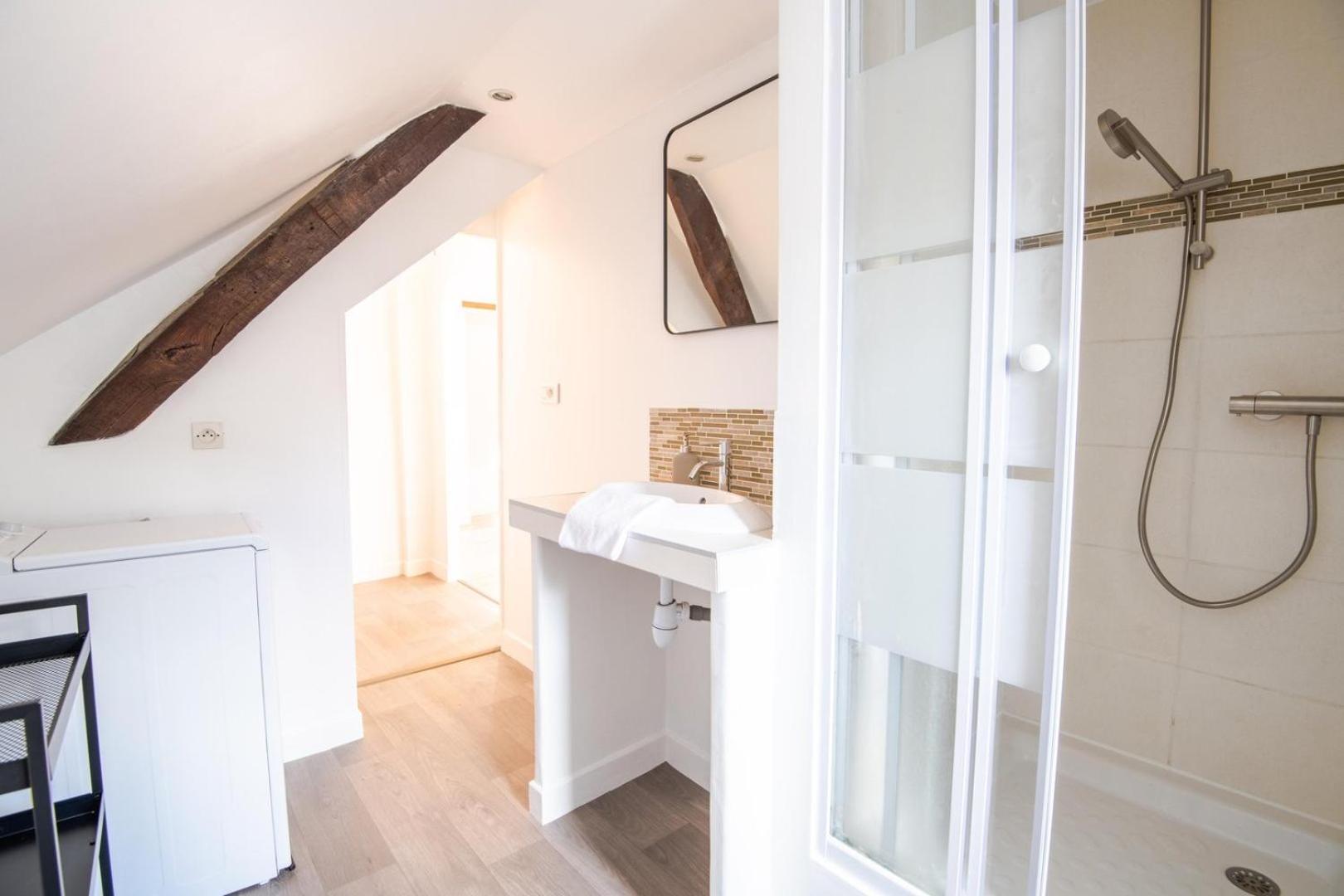 Les Mansardes Amboisiennes Apartment Amboise Bagian luar foto